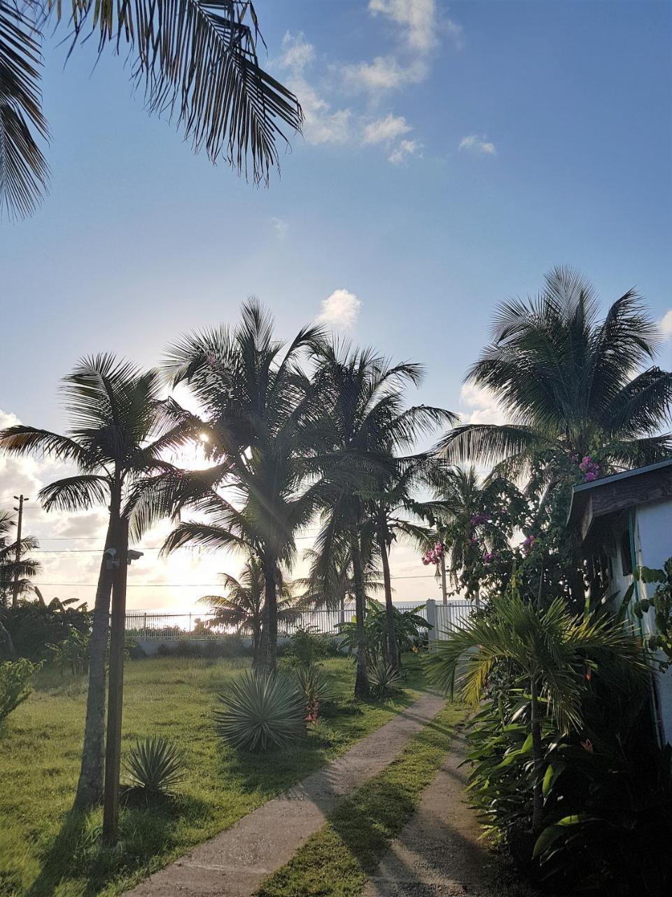 Playa Tranquilo B&B And Dive Shop San Andres  Exterior photo